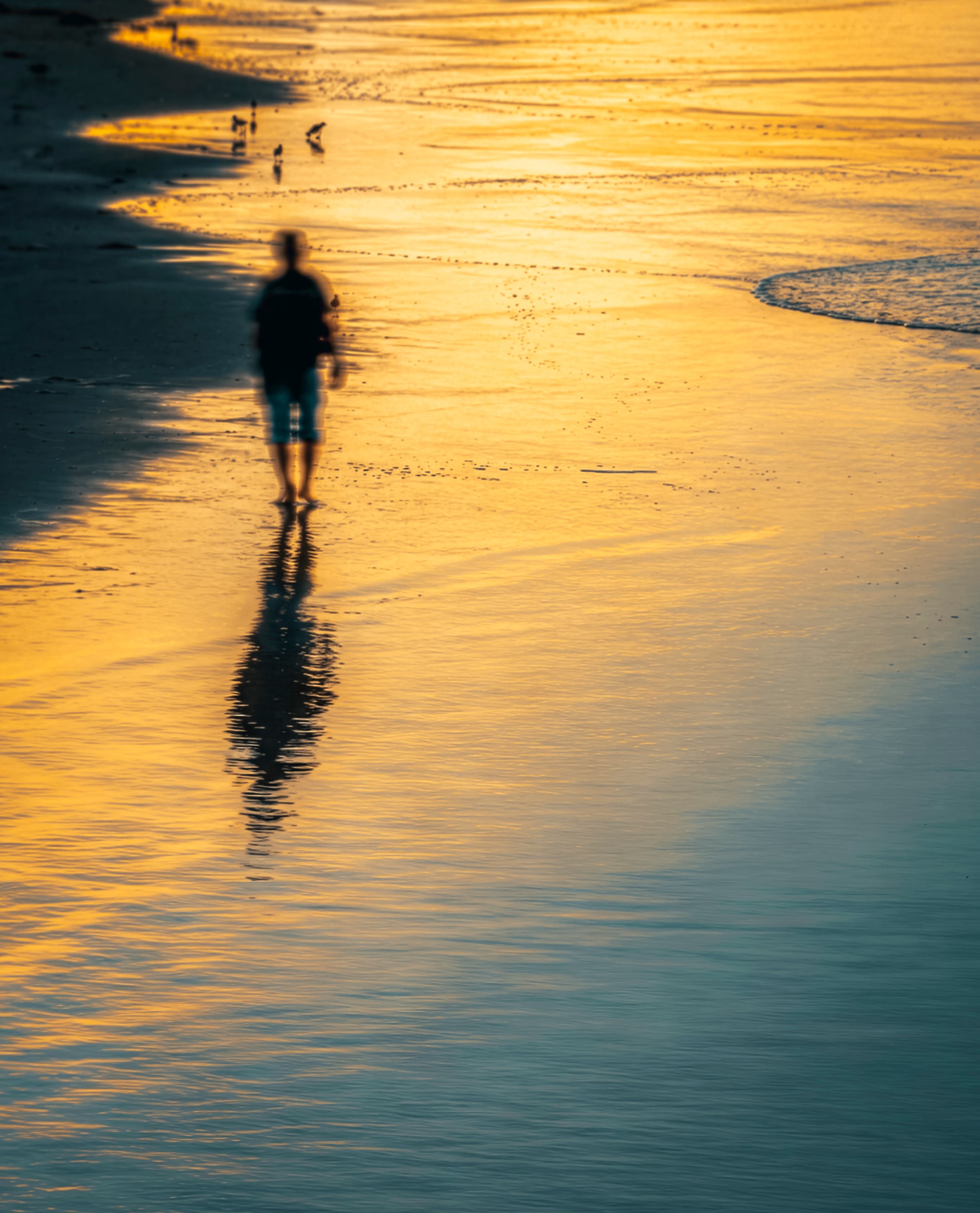 Silhouette walking on beach at golden sunset