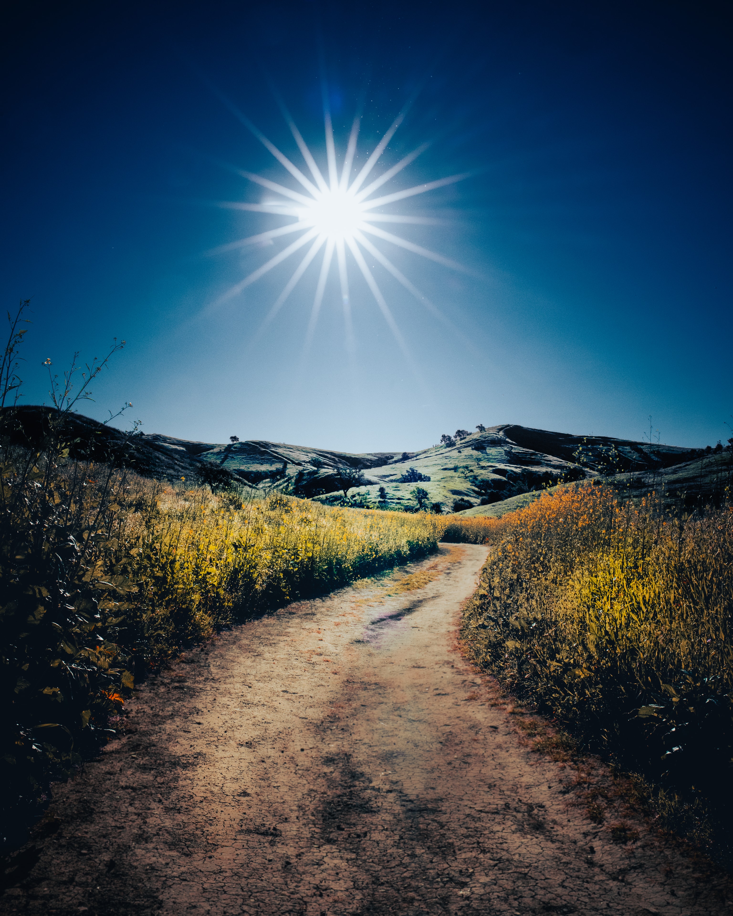 Hillside trail with starburst sun