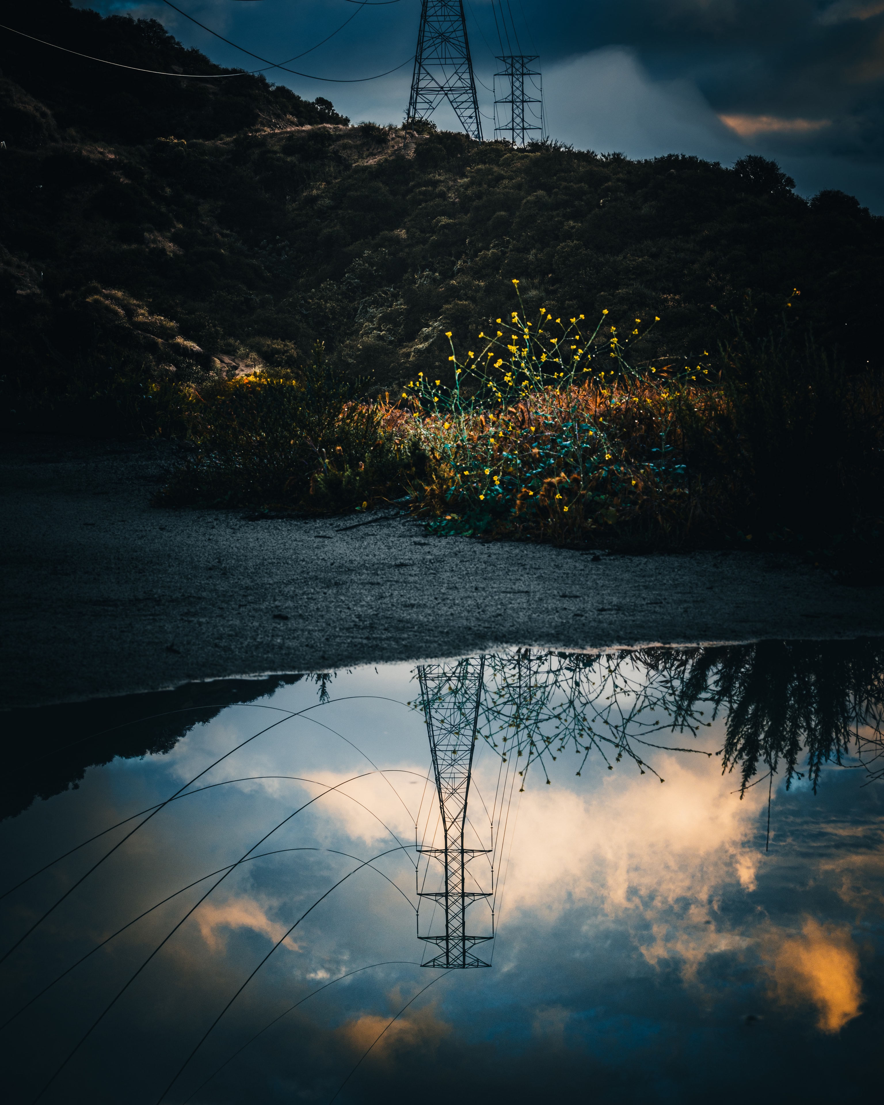 Power tower reflected in still water with wildflowers