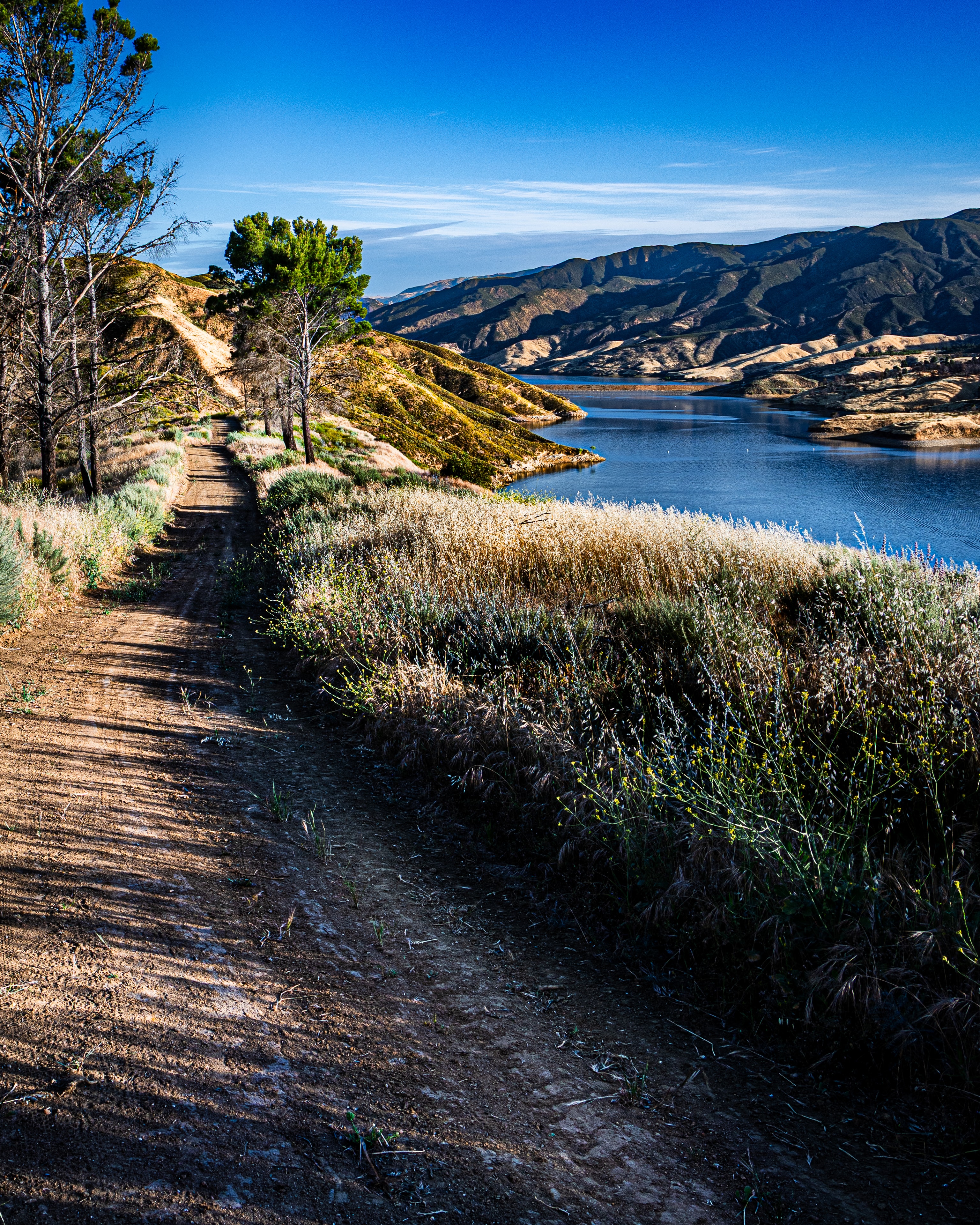 Dirt trail along lakeshore with golden grasses
