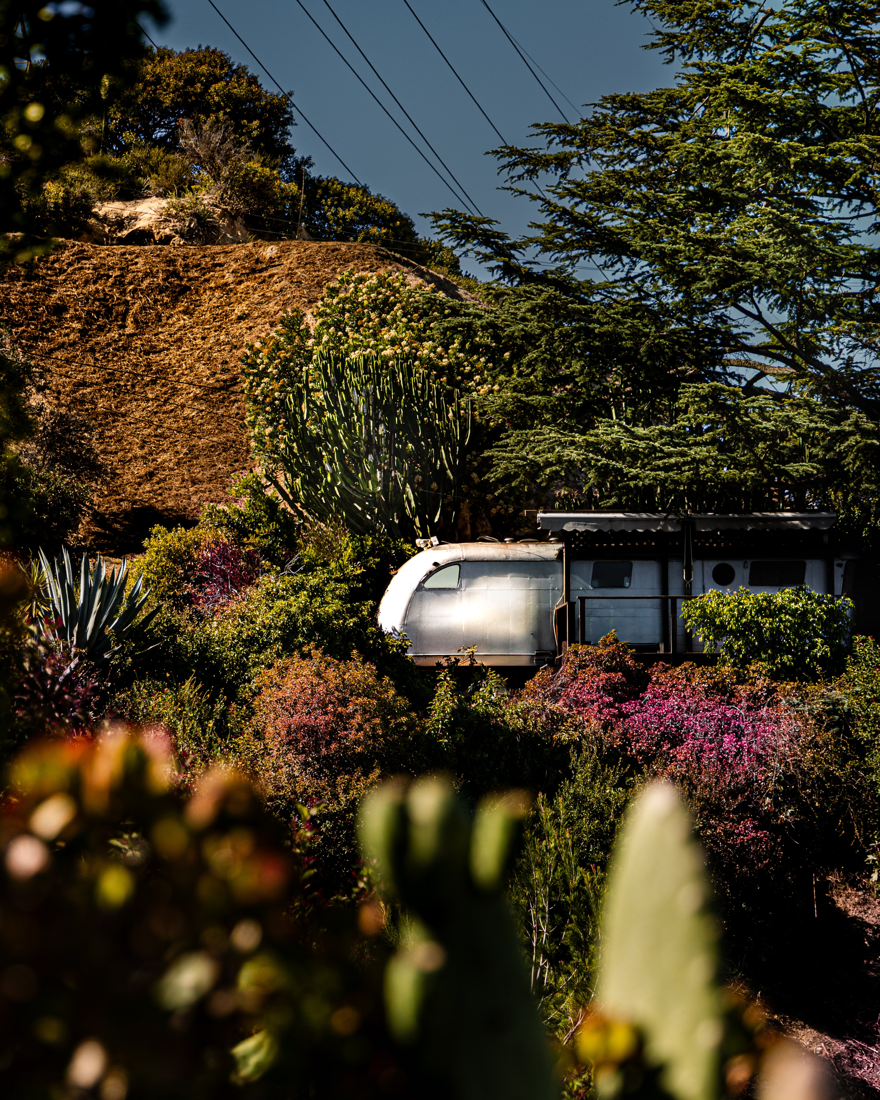 Airstream trailer nestled in lush desert garden