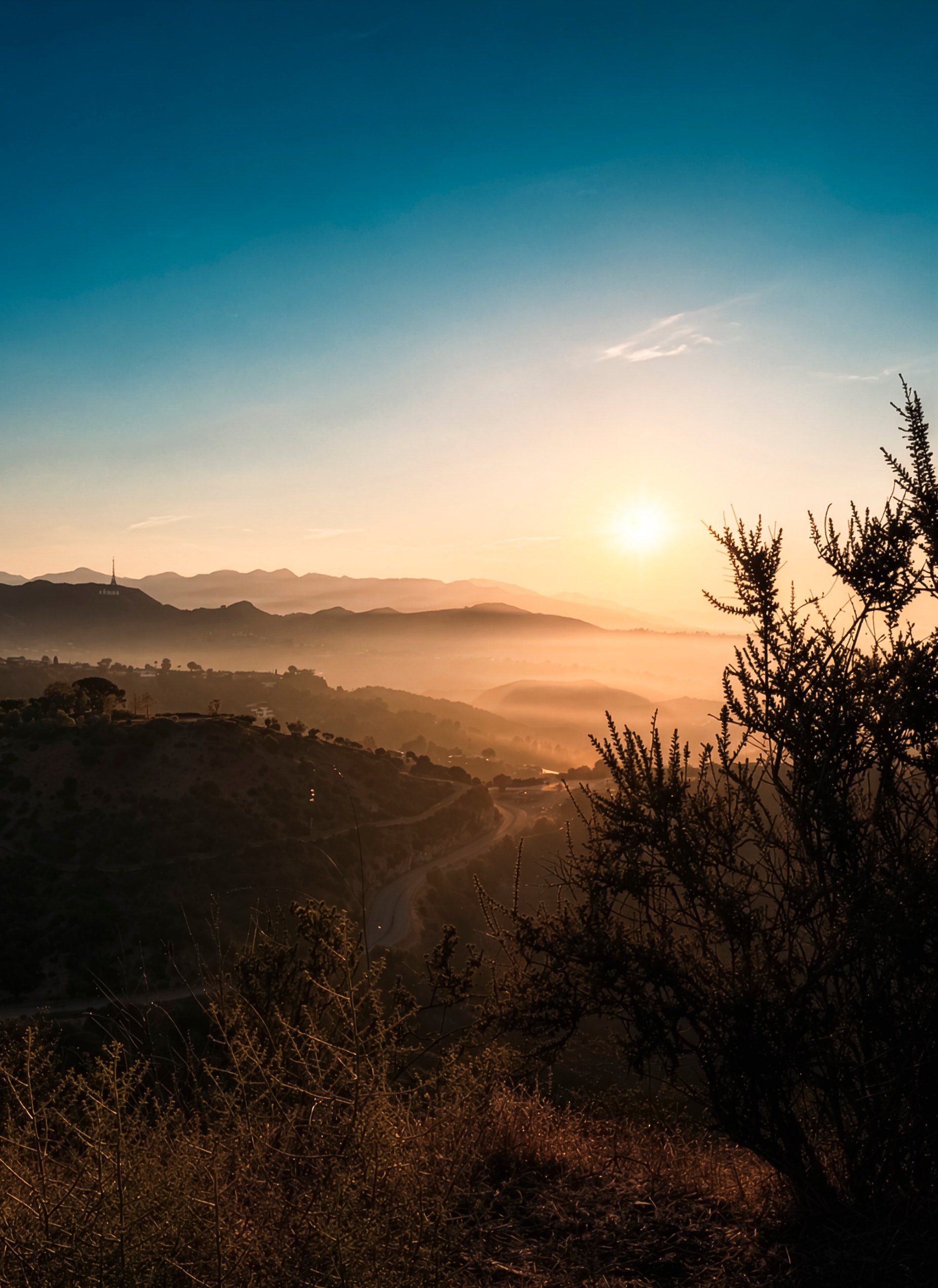Misty Los Angeles basin sunrise from hilltop overlook