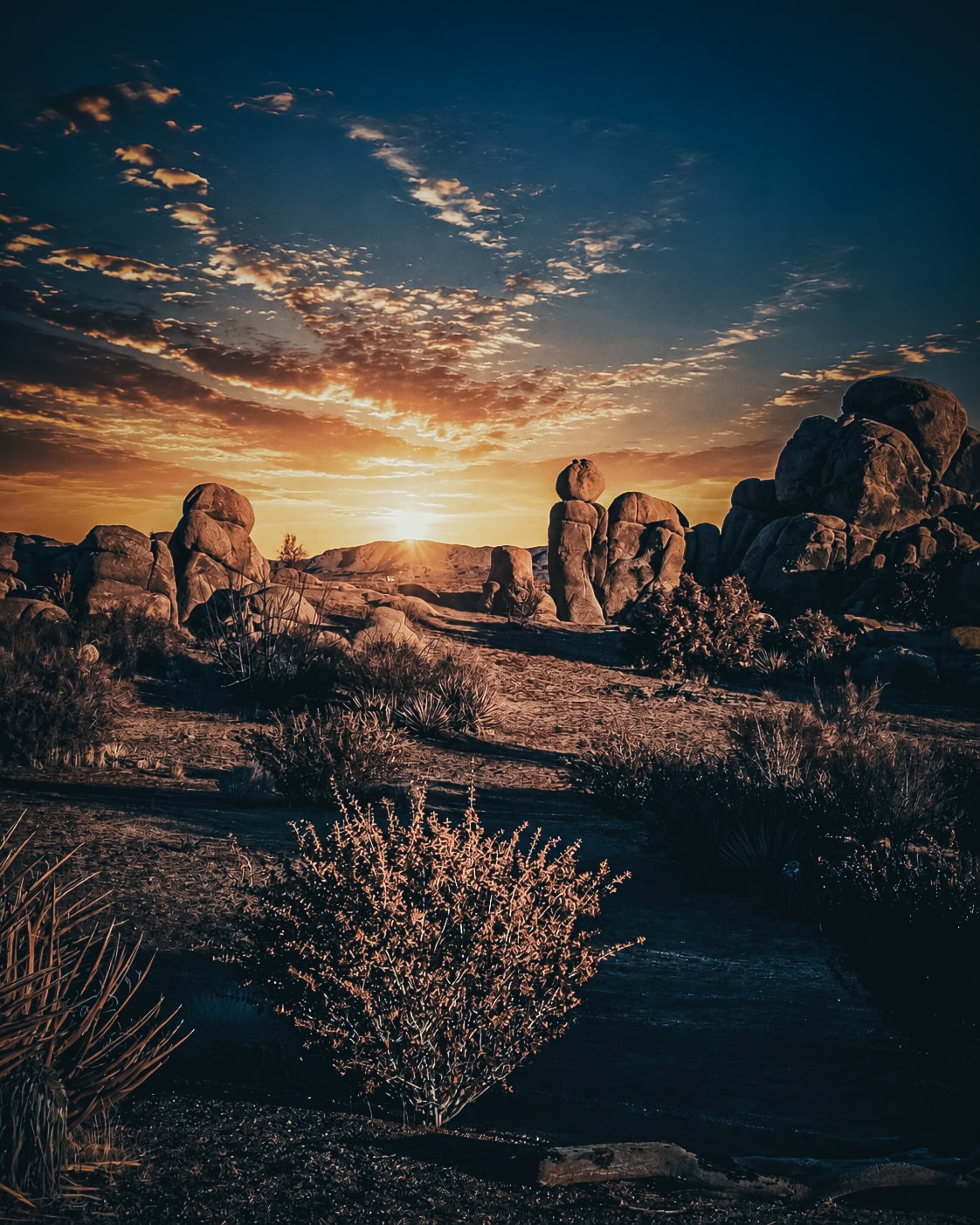 Desert rock formations at sunset with warm golden light