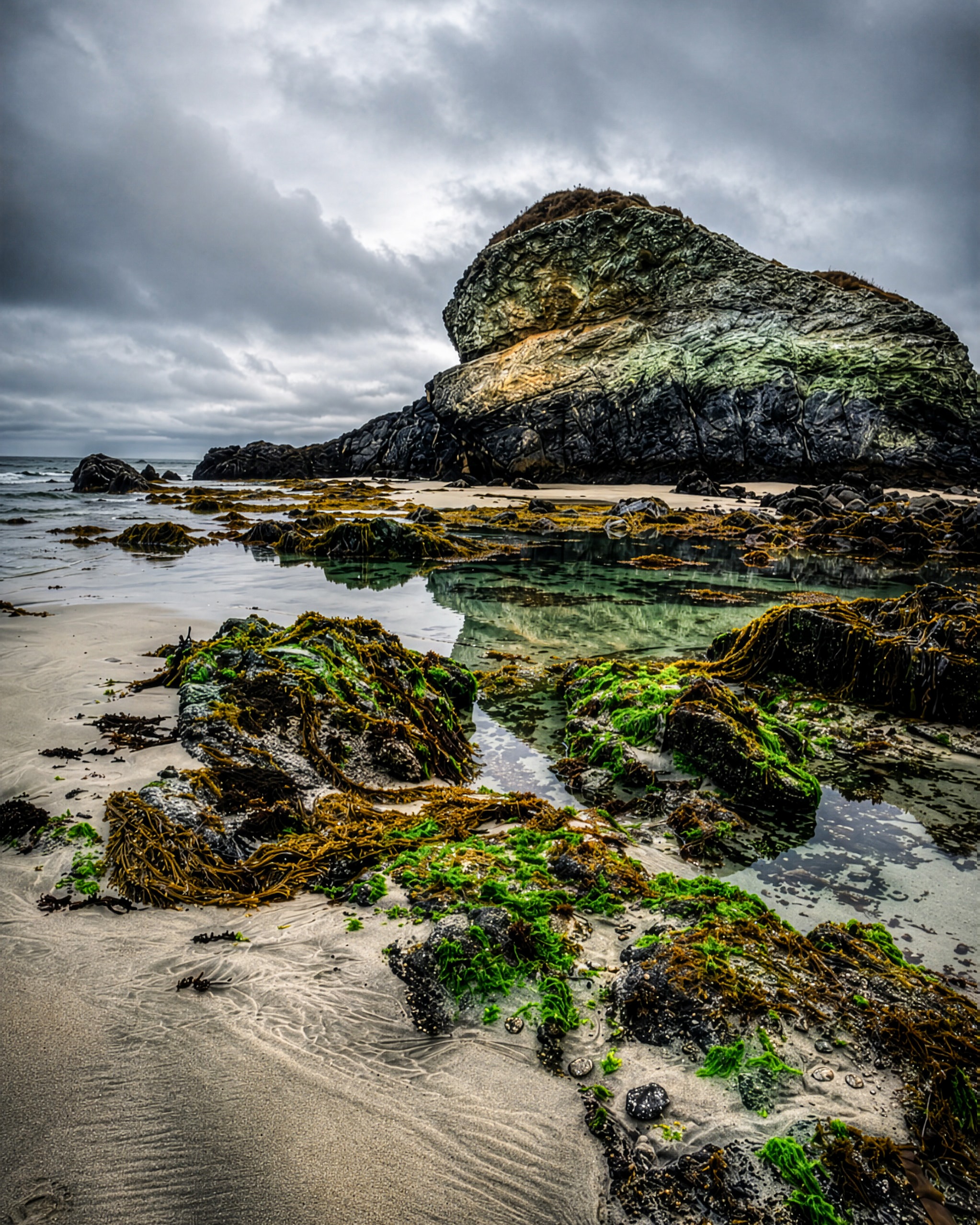 Moss-covered boulders and tidal pools on overcast coast