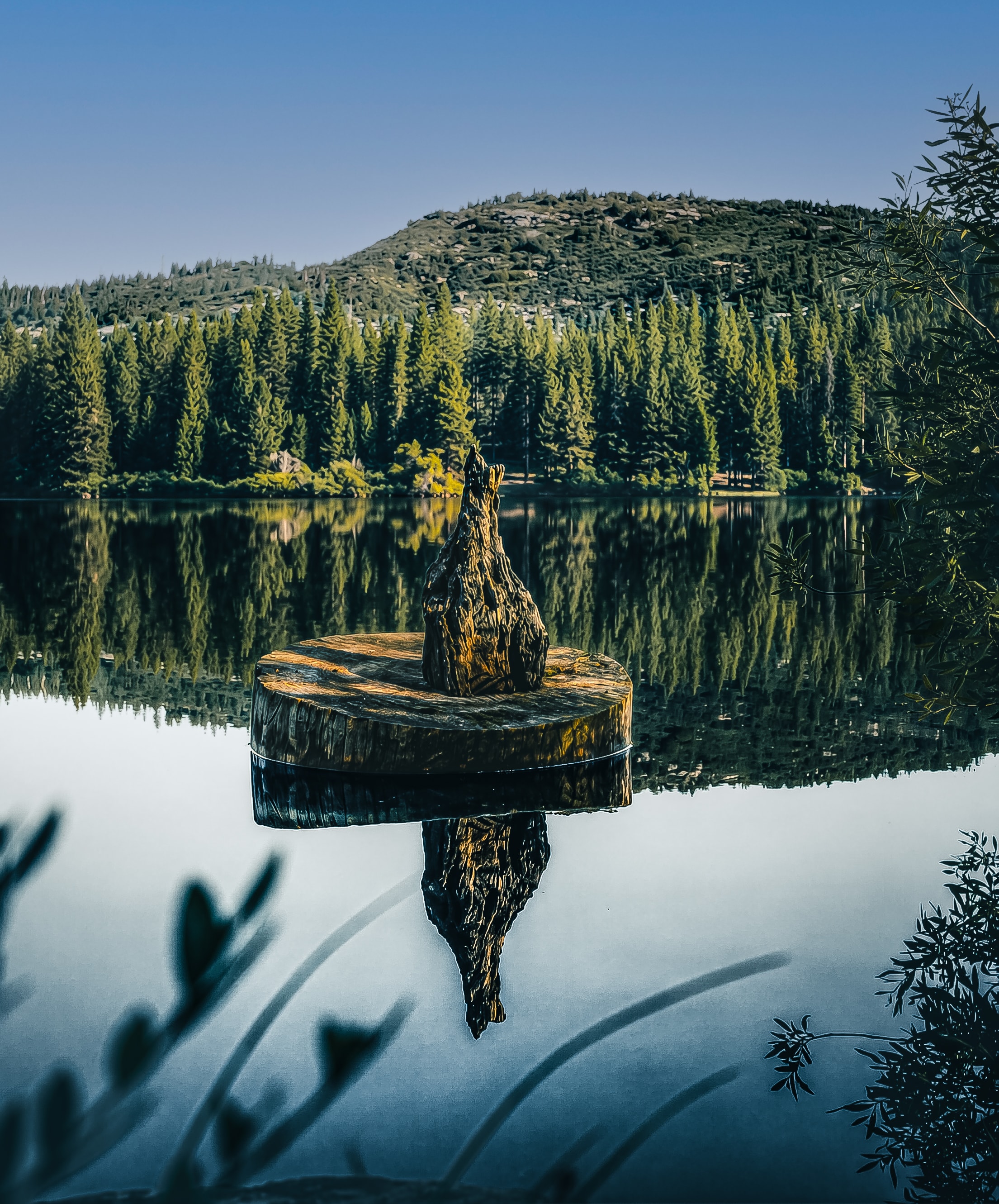 Weathered stump on glassy mountain lake with forest reflection