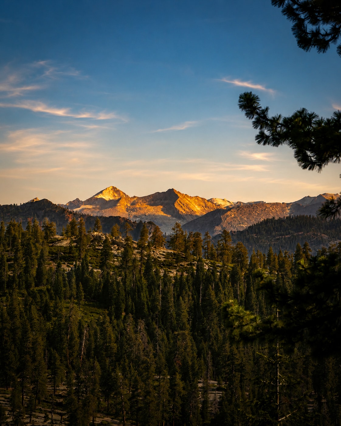 Sierra Nevada peaks glowing amber at sunset above pine forest